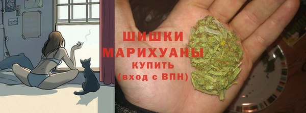 винт Нягань