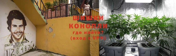 винт Нягань