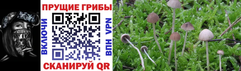 Галлюциногенные грибы прущие грибы  OMG как зайти  Прохладный 
